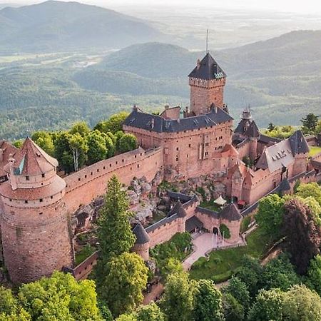 Au Pied Du Chateau Оршвіллер Екстер'єр фото